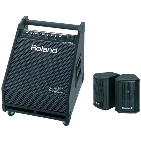 ROLAND PM-30 SPEAKER